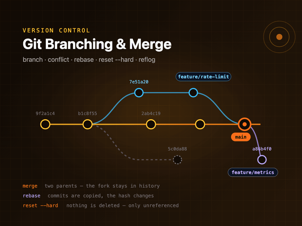 Git Branching & Merge